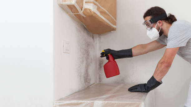 Professional Commercial Mold Remediation technician working in Peapack, NJ