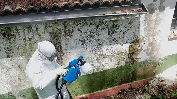 Top rated local Commercial Mold Remediation specialists in Peapack, NJ